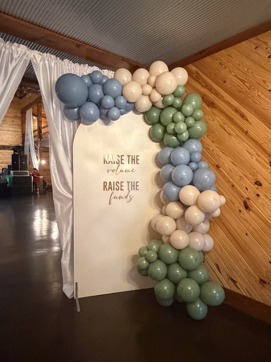 Balloon arch at an Open Eyes fundraising event
